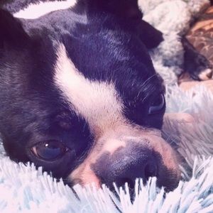 Meet your Posher, Tracy